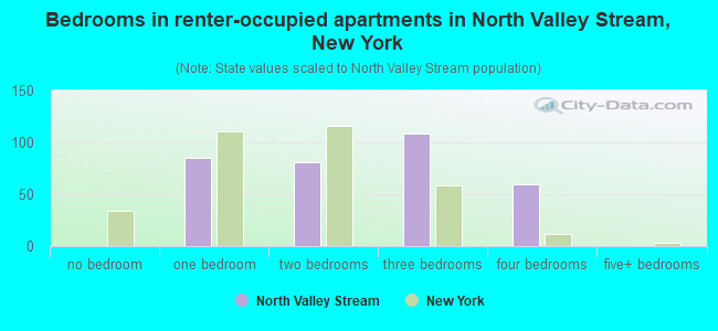 Bedrooms in renter-occupied apartments in North Valley Stream, New York
