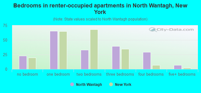 Bedrooms in renter-occupied apartments in North Wantagh, New York