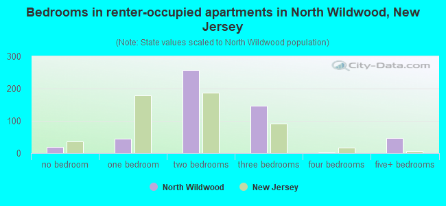 Bedrooms in renter-occupied apartments in North Wildwood, New Jersey