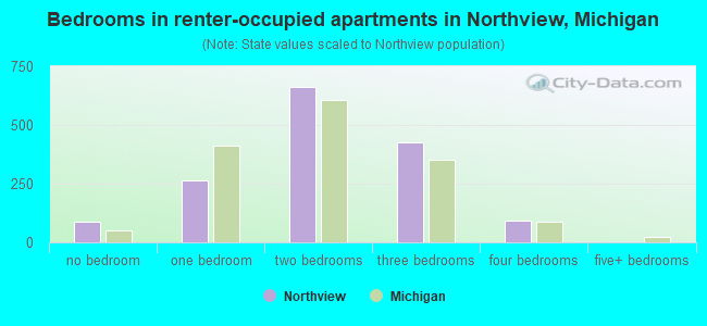 Bedrooms in renter-occupied apartments in Northview, Michigan