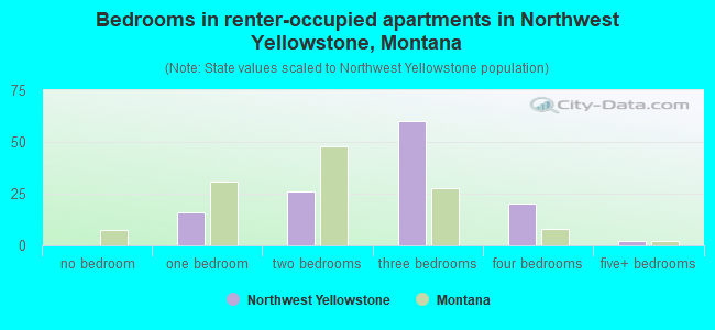 Bedrooms in renter-occupied apartments in Northwest Yellowstone, Montana