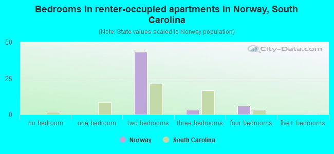 Bedrooms in renter-occupied apartments in Norway, South Carolina