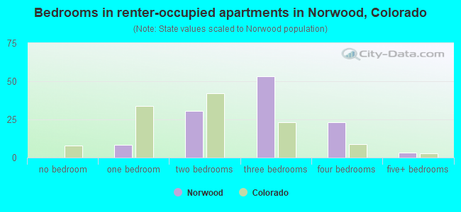 Bedrooms in renter-occupied apartments in Norwood, Colorado