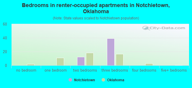 Bedrooms in renter-occupied apartments in Notchietown, Oklahoma