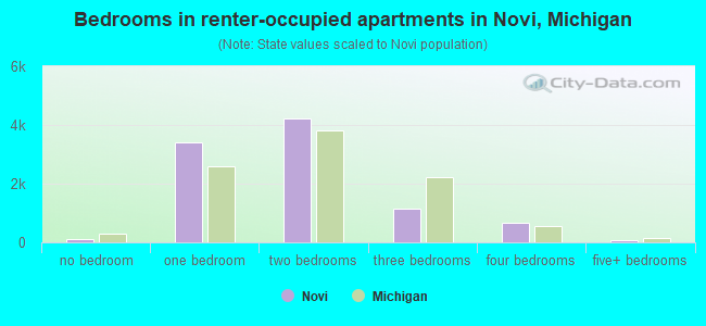 Bedrooms in renter-occupied apartments in Novi, Michigan