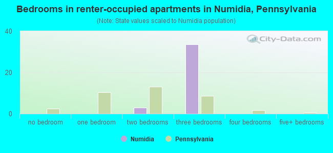 Bedrooms in renter-occupied apartments in Numidia, Pennsylvania