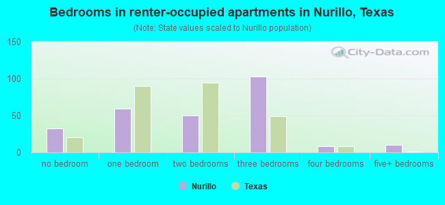 Bedrooms in renter-occupied apartments in Nurillo, Texas
