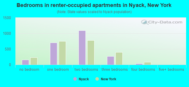 Bedrooms in renter-occupied apartments in Nyack, New York