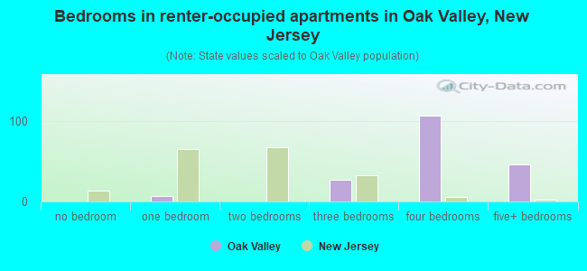 Bedrooms in renter-occupied apartments in Oak Valley, New Jersey