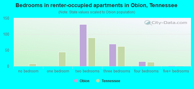 Bedrooms in renter-occupied apartments in Obion, Tennessee
