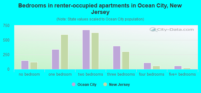 Bedrooms in renter-occupied apartments in Ocean City, New Jersey