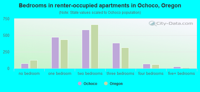 Bedrooms in renter-occupied apartments in Ochoco, Oregon