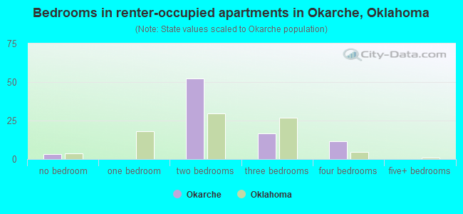 Bedrooms in renter-occupied apartments in Okarche, Oklahoma