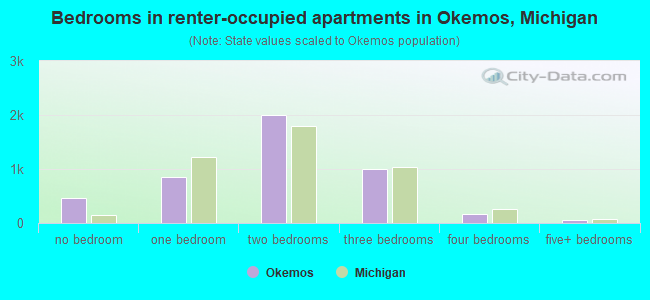 Bedrooms in renter-occupied apartments in Okemos, Michigan