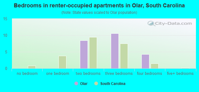Bedrooms in renter-occupied apartments in Olar, South Carolina