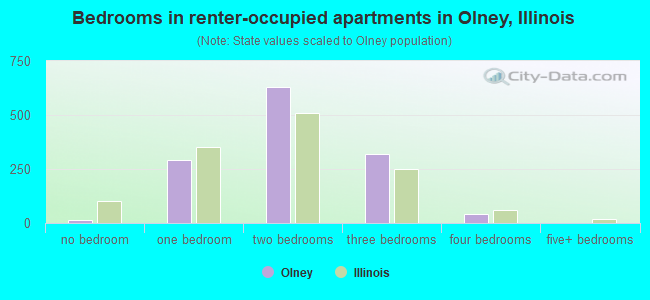 Bedrooms in renter-occupied apartments in Olney, Illinois
