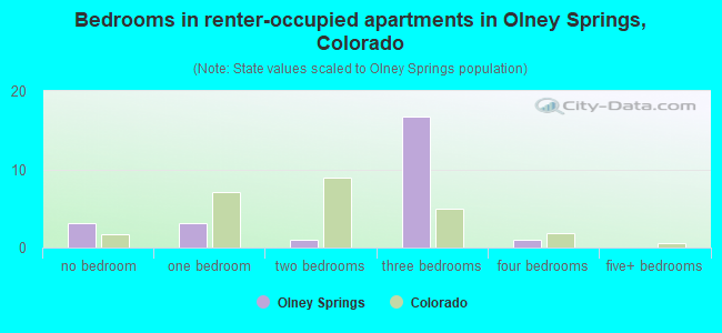 Bedrooms in renter-occupied apartments in Olney Springs, Colorado