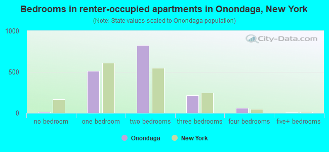 Bedrooms in renter-occupied apartments in Onondaga, New York