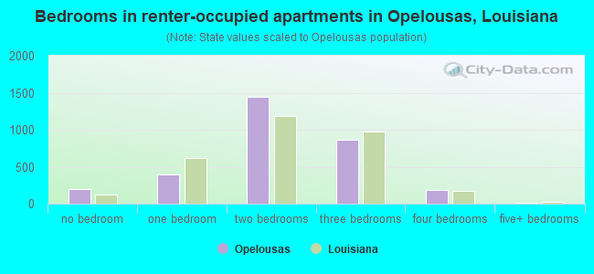 Bedrooms in renter-occupied apartments in Opelousas, Louisiana