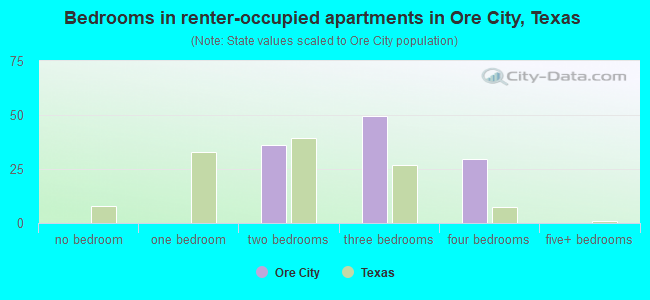 Bedrooms in renter-occupied apartments in Ore City, Texas
