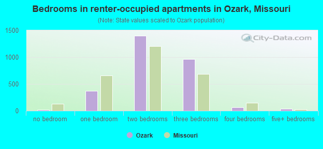 Bedrooms in renter-occupied apartments in Ozark, Missouri