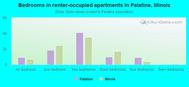 Bedrooms in renter-occupied apartments in Palatine, Illinois