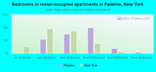 Bedrooms in renter-occupied apartments in Palatine, New York