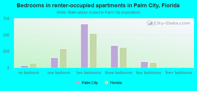 Bedrooms in renter-occupied apartments in Palm City, Florida