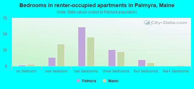 Bedrooms in renter-occupied apartments in Palmyra, Maine