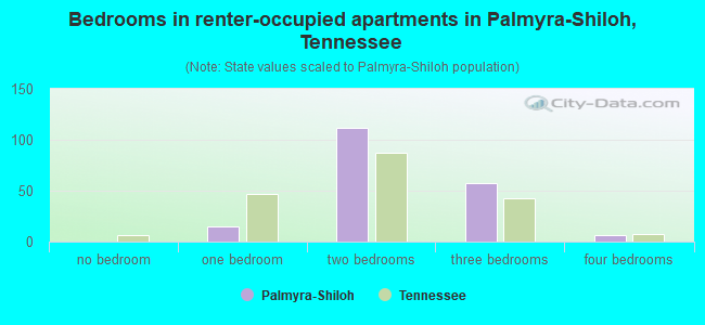 Bedrooms in renter-occupied apartments in Palmyra-Shiloh, Tennessee
