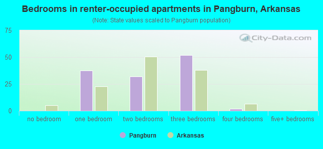 Bedrooms in renter-occupied apartments in Pangburn, Arkansas