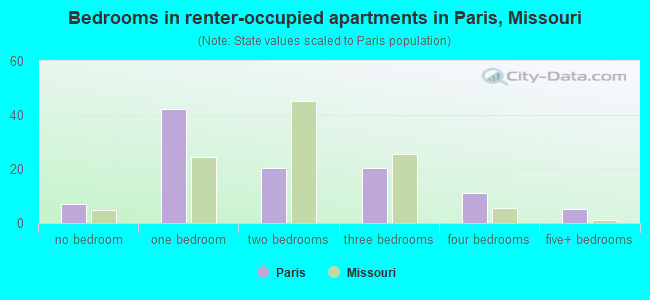 Bedrooms in renter-occupied apartments in Paris, Missouri