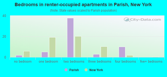 Bedrooms in renter-occupied apartments in Parish, New York