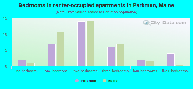 Bedrooms in renter-occupied apartments in Parkman, Maine
