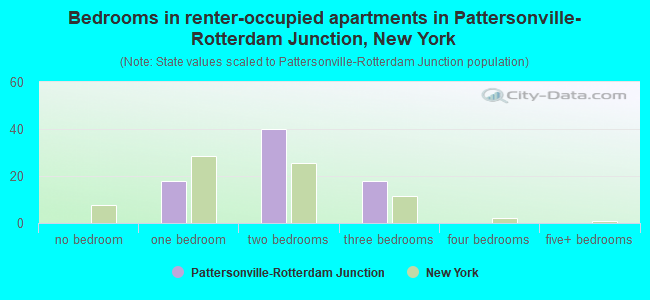 Bedrooms in renter-occupied apartments in Pattersonville-Rotterdam Junction, New York