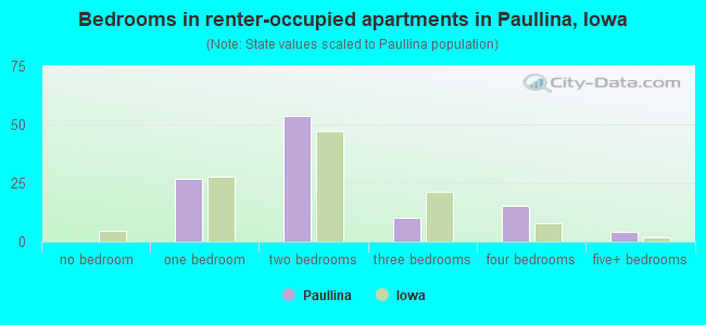 Bedrooms in renter-occupied apartments in Paullina, Iowa