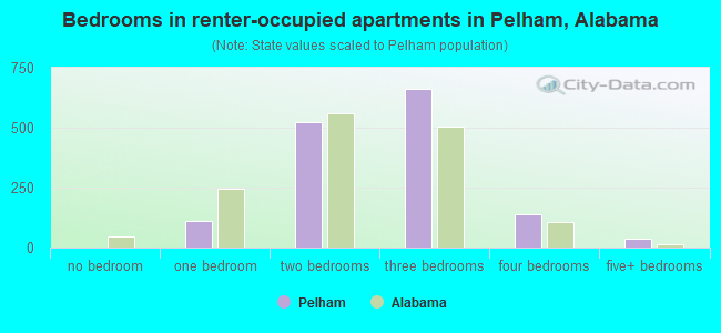 Bedrooms in renter-occupied apartments in Pelham, Alabama