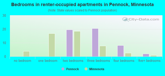 Bedrooms in renter-occupied apartments in Pennock, Minnesota