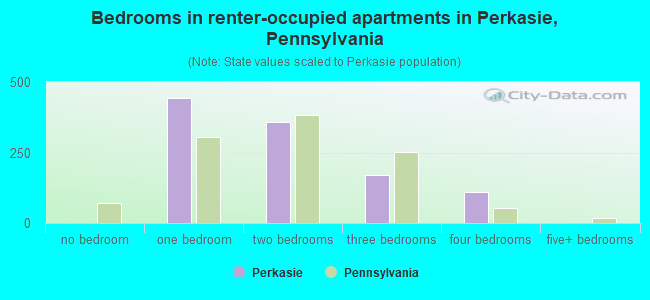 Bedrooms in renter-occupied apartments in Perkasie, Pennsylvania