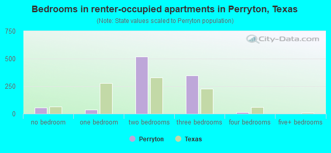 Bedrooms in renter-occupied apartments in Perryton, Texas
