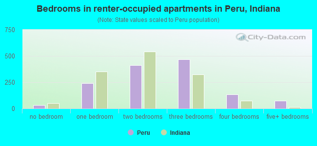 Bedrooms in renter-occupied apartments in Peru, Indiana