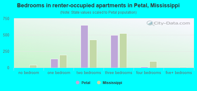 Bedrooms in renter-occupied apartments in Petal, Mississippi