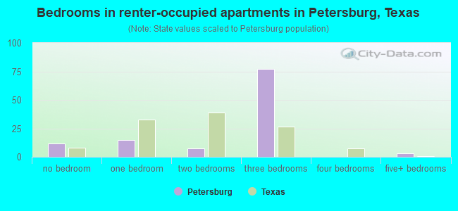Bedrooms in renter-occupied apartments in Petersburg, Texas