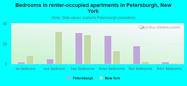 Bedrooms in renter-occupied apartments in Petersburgh, New York