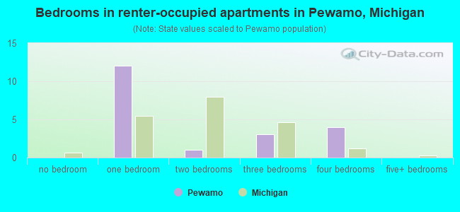 Bedrooms in renter-occupied apartments in Pewamo, Michigan