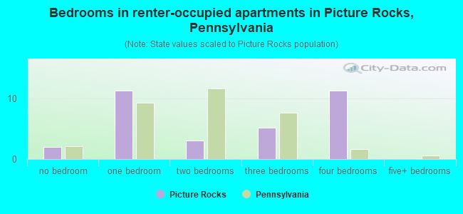 Bedrooms in renter-occupied apartments in Picture Rocks, Pennsylvania