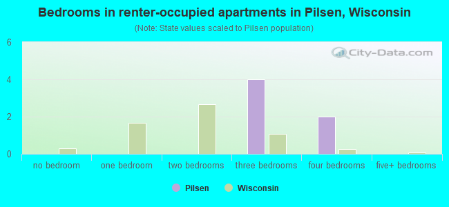 Bedrooms in renter-occupied apartments in Pilsen, Wisconsin