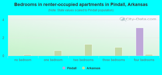Bedrooms in renter-occupied apartments in Pindall, Arkansas