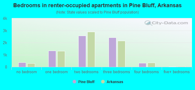Bedrooms in renter-occupied apartments in Pine Bluff, Arkansas