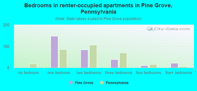 Bedrooms in renter-occupied apartments in Pine Grove, Pennsylvania